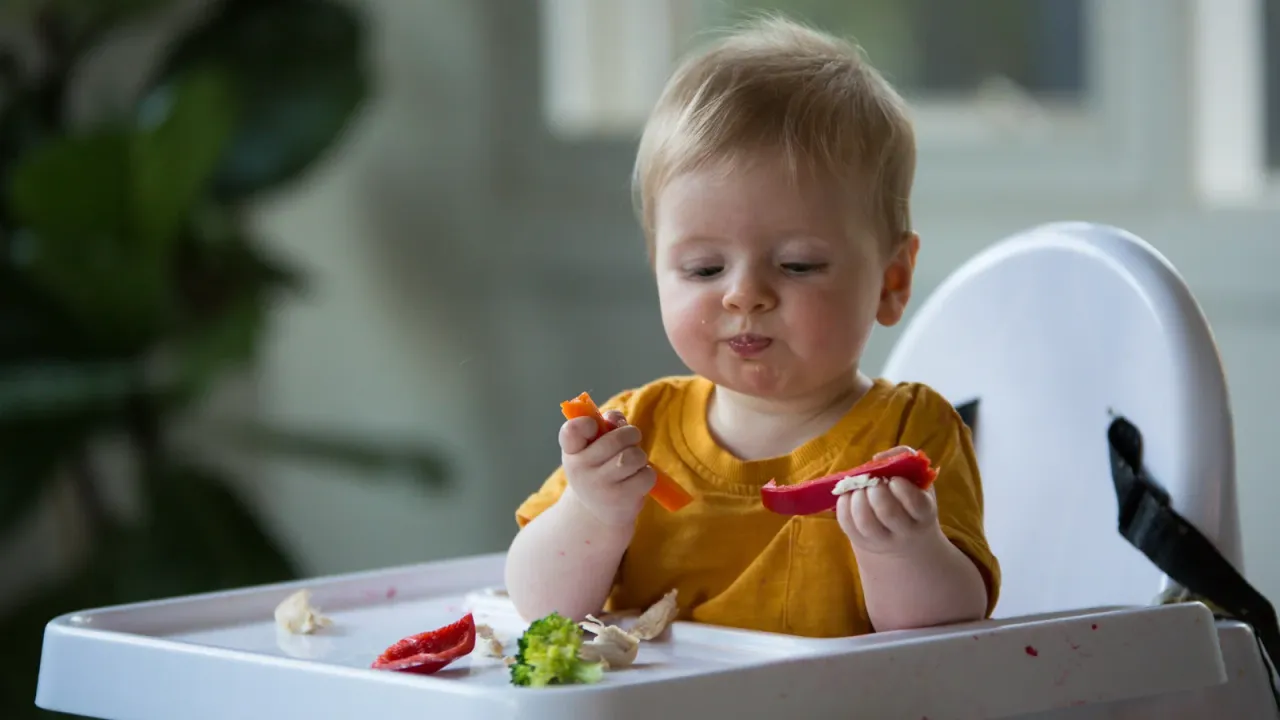 Alimentación segura para toddlers.