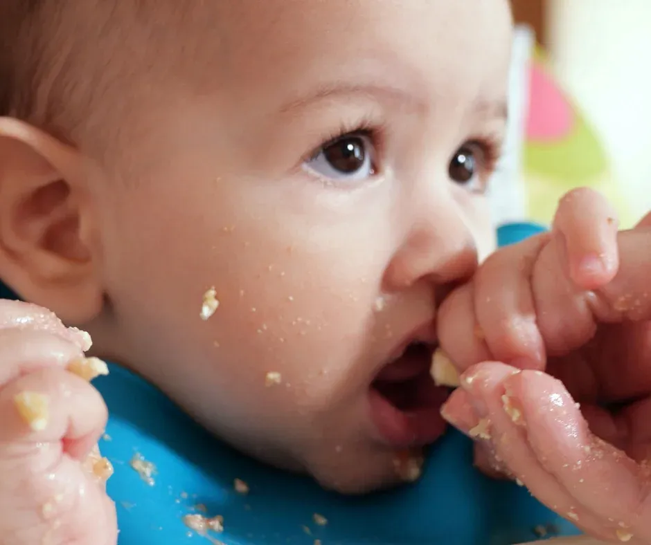 Alimentación para bebés