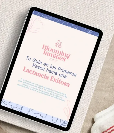 Guía de primeros pasos para una lactancia exitosa