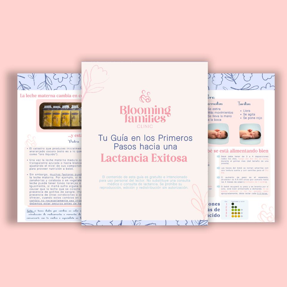 Páginas de la guía gratuita «Tu guía en los primeros pasos hacia una lactancia exitosa» de Blooming Families Clinic