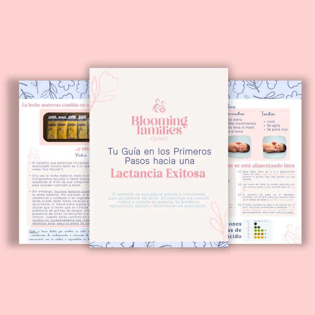 Páginas de la guía «Tu guía en los primeros pasos hacia una lactancia exitosa» de Blooming Families Clinic